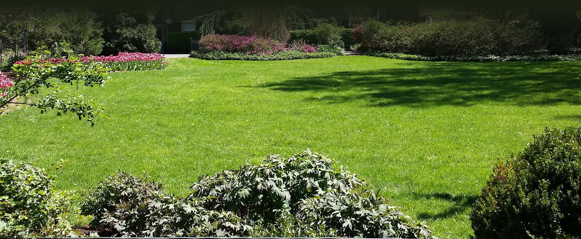 lawn-cutting-services-surrey-bc-white-rock
